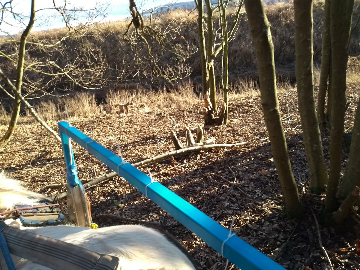 ponyaccess's tweet photo. Obama takes people who use wheelchairs to beaver logging area @GlamisCastle . This is what #InclusiveCountryside means. Letting everyone experience the sights and sounds of nature. https://t.co/mhKNKCzy0I