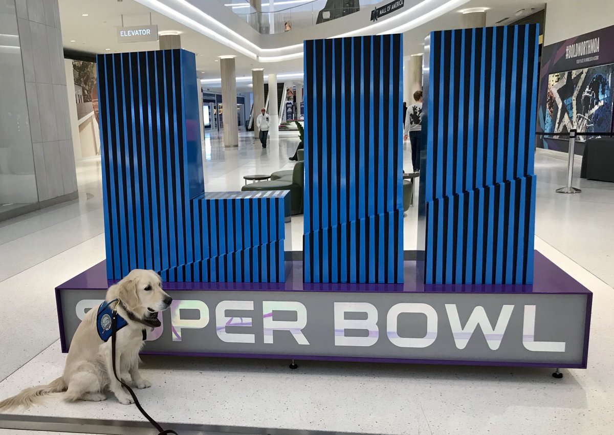 LCCK9Gideon's tweet photo. It’s my hometown #sbLII #SBLII #SB52 #SuperBowl #lcck9comfortdogs https://t.co/hZXyZ4Z4Ey