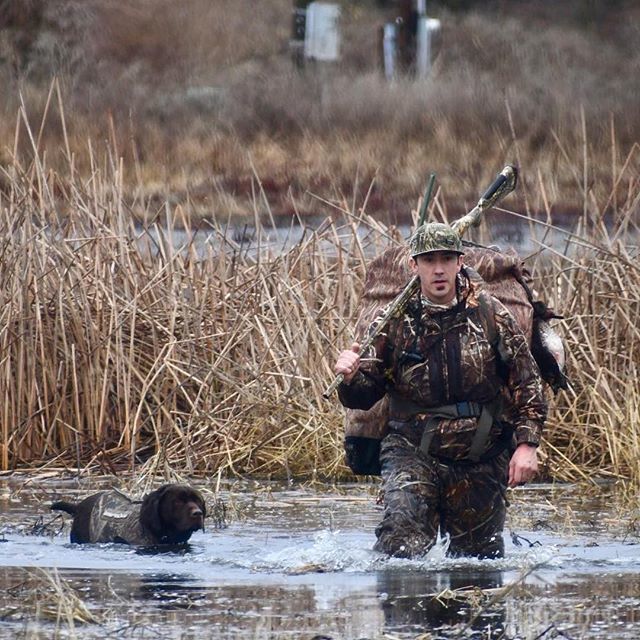YUDUOutdoors's tweet photo. Great pic @roots_and_seedlings with ・・・
Ready to get back out there... #duck #whatdoyudu #duckhunting #duckseason #retriever #chocolate #labrador #getout #benelli #camoflauge #water #waterfowl #waterfowlhunting #winter #hunter #solohunting #birddog #… https://t.co/KZHBvRPNzg https://t.co/GG1i6b2oNI