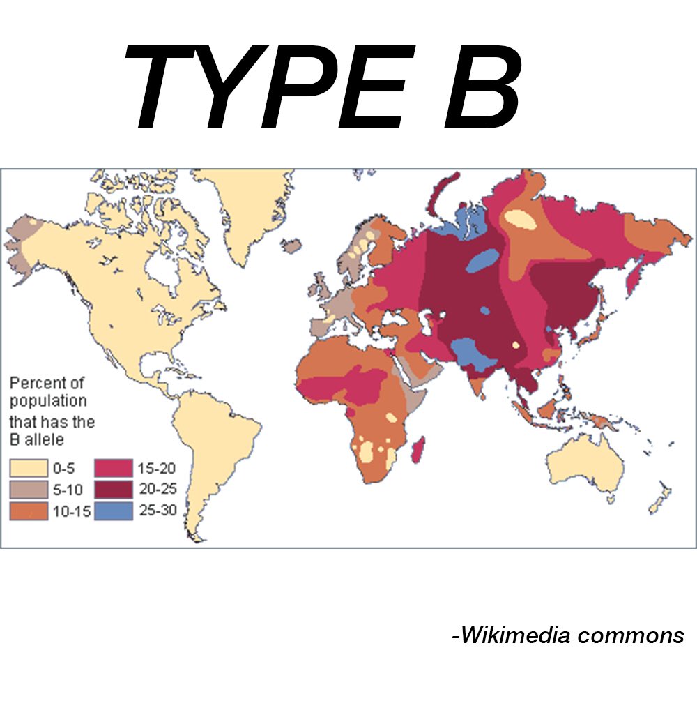 most common blood type most common blood type