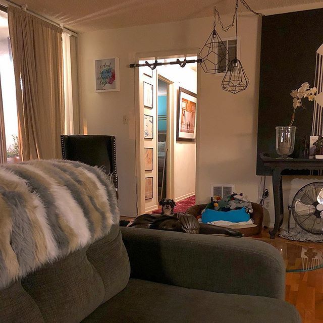 terrierbimby's tweet photo. If I stare long enough they’ll notice me... 🐶 #bimby #dog #rescue #dog #rescuedog #pet #rescuepet #weho #wehodog #wehopets #westhollywood #petsagram #dogstagram #sunday #good https://t.co/qj513I6zFD https://t.co/3gwIdXpN9y