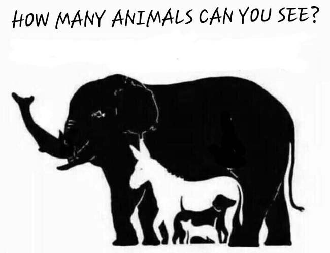 hmm how many can you see :D
