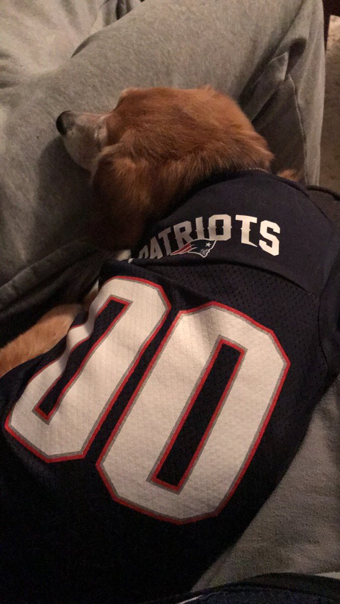 Doggo in a patriots sandwich, hoping this brings some good luck #LFG #SuperBowlLII @Patriots