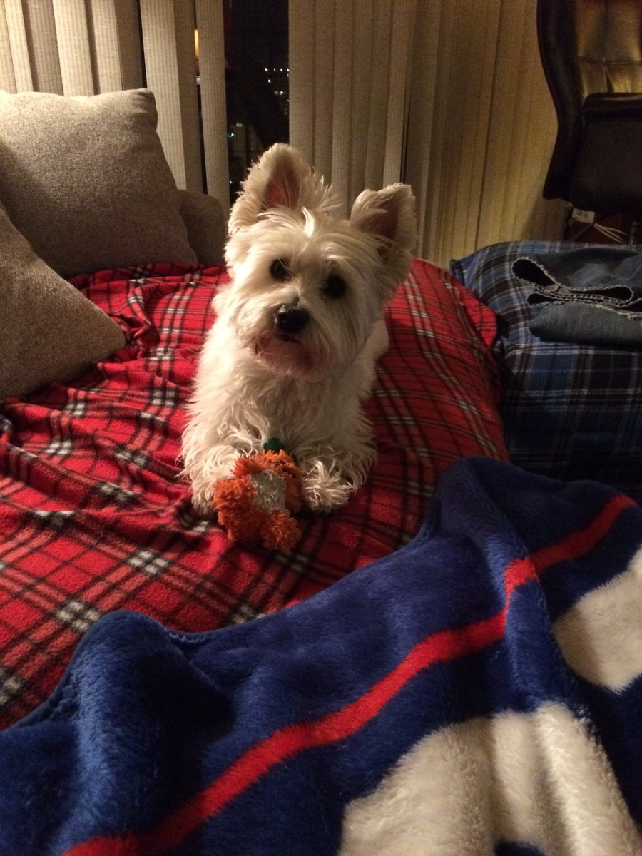 DonsstSeggerman's tweet photo. Football is ok Daddy, but is baseball coming soon??? https://t.co/Pgy5VGSUcu
