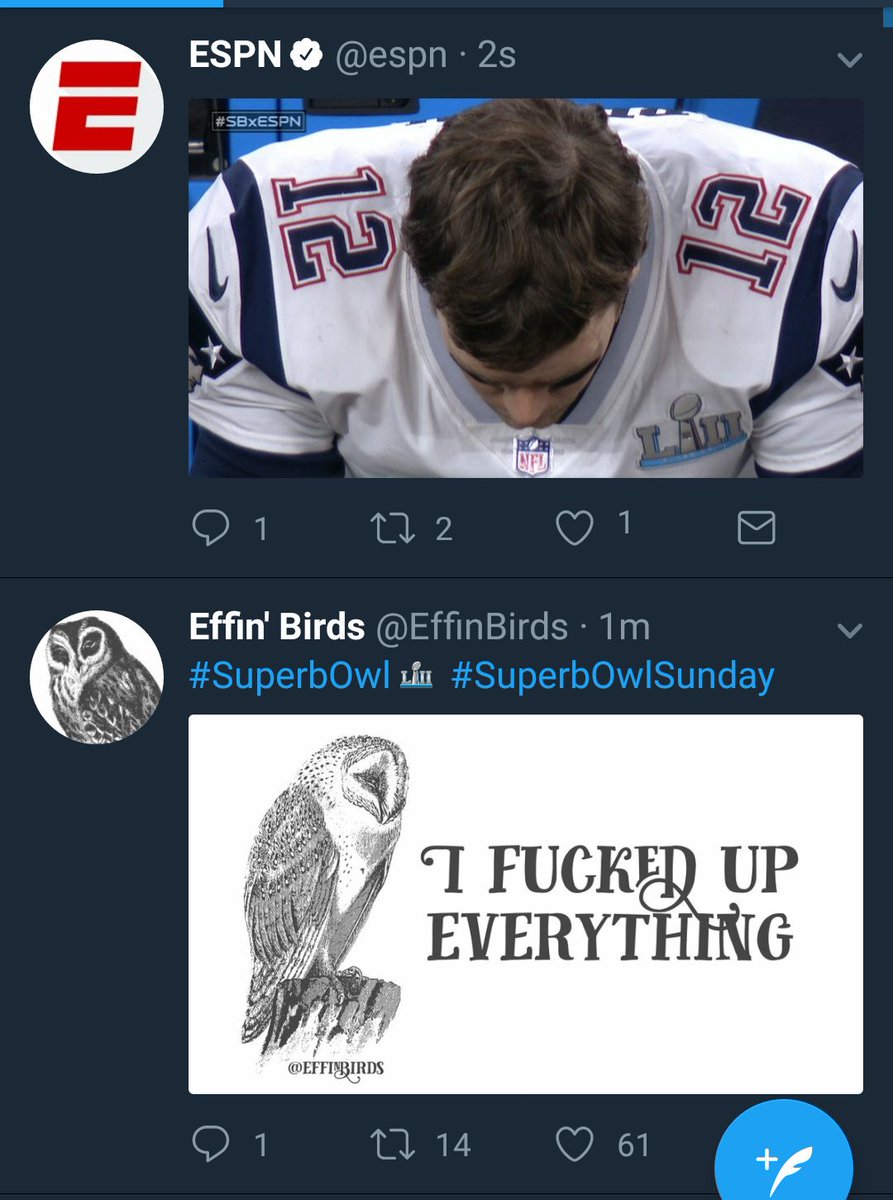 ColemanMisty's tweet image. @EffinBirds bingo!!! #SuperbOwl edition!!! Getting one of these is the only reason I scroll thru @Twitter