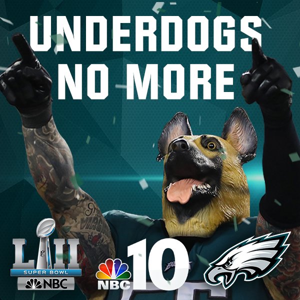 Cuccioli Di Pastore Tedesco - Allevamento Di Casa Capitano - Foto 7