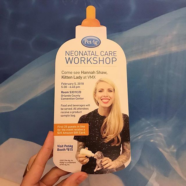 kittenxlady's tweet photo. Can’t get over this bottle shaped flyer PetAg made for the VMX conference! 🙀 Hope to see some of you at my neonatal kitten care workshop tomorrow afternoon! #petag #neonatalkitten #workshop #vmx2018 https://t.co/9rNEVwXzqs https://t.co/zUF9scFTfc