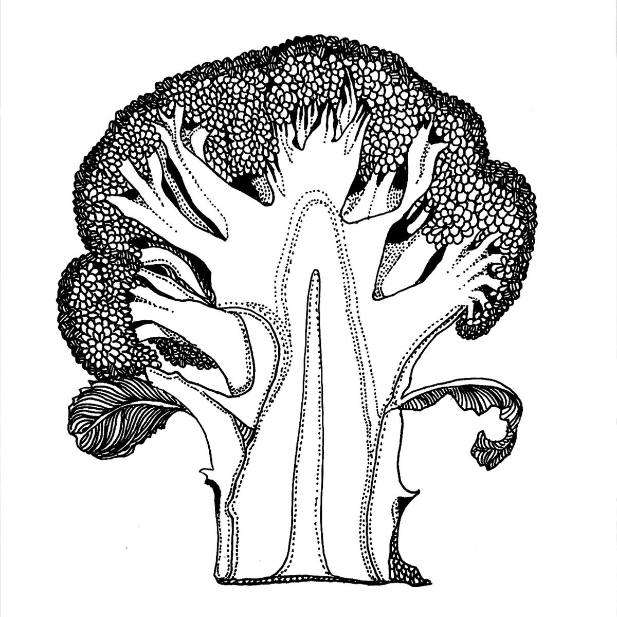 Saki ボールペン画アーティスト 断面図シリーズ ブロッコリー T Co Fbkcew95s7 断面図 イラスト ブロッコリー 野菜 Pen Art Illustration Bellpepper Broccoli ペン画を流してペン画民を増やそう T Co Laxastq3zt Saki ボールペン画アーティスト 断面図シリーズ ブロッコリー T Co Fbkcew95s7 断面図 イラスト ブロッコリー 野菜 Pen Art Illustration Bellpepper Broccoli ペン画を流してペン画民を増やそう T Co Laxastq3zt