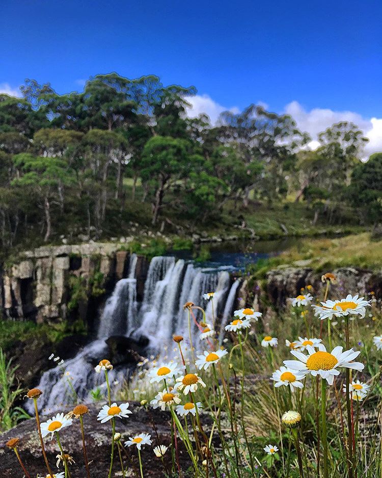 Sydney Fun tweet media