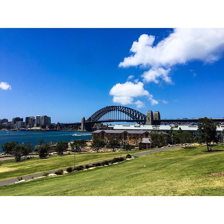 Sydney Fun tweet media