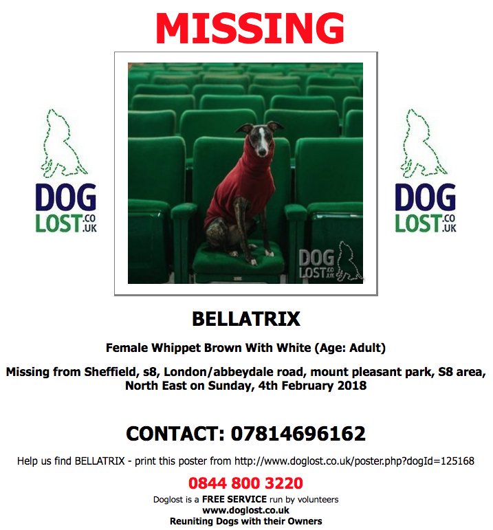 PLEASE SHARE AND HELP BRING BELLATRIX HOME! #findbellatrix #sheffieldis #sheffieldissuper