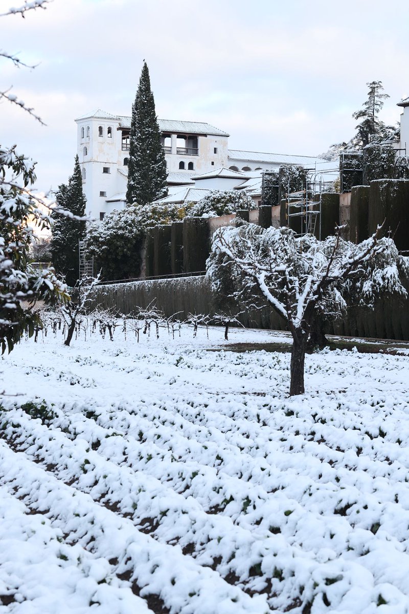 alhambracultura tweet picture