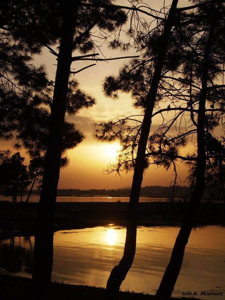 #FelizLunes "Si un día llegaras a caer, no te preocupes, !Haz como el sol!
 que cada tarde cae pero cada mañana se levanta con más resplandor" <a href="/puestadesolvigo/">PuestadesolVigo</a> <a href="/turisriasbaixas/">Turismo Rías Baixas</a> <a href="/VisitOSalnes/">Visit O Salnés ®</a> <a href="/riadearousa/">Arousal</a> <a href="/TurismoGalicia1/">TurismoGalicia1</a> <a href="/Turgalicia/">Turismo de Galicia</a> <a href="/GaliciaSoleada/">Galicia Soleada</a> <a href="/SecretGalicia/">Secret Galicia</a> 🌇