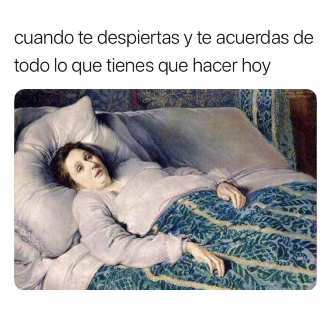 Rossana Salgado tweet media