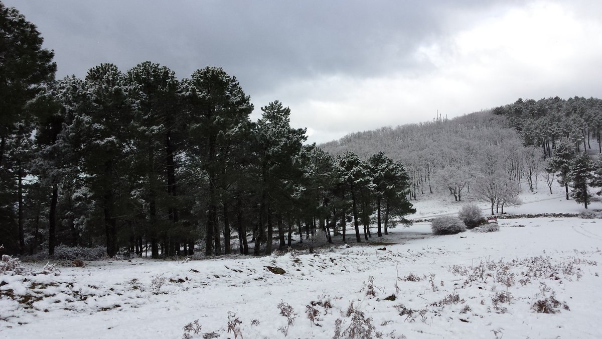 La Tejea,os desea un feliz Lunes!! #LaTejea #FelizLunes #Buenosdias #mermeladas