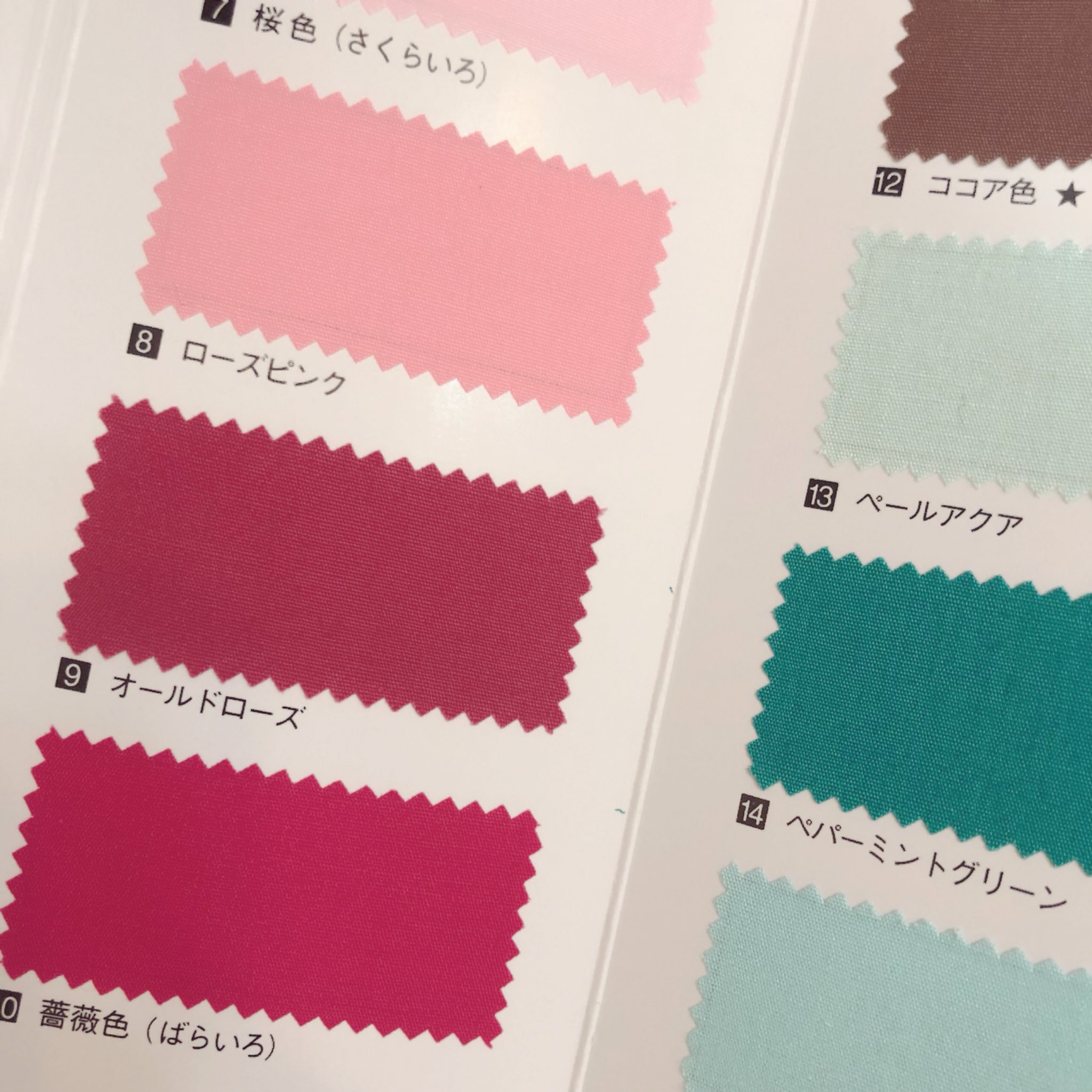 透桃 昨年パーソナルカラー診断を受けた時に頂いたカラーサンプルの一部です 四分割での診断でしたが ブルーベース サマーの中でもパステルやくすんだ色よりは鮮やかな色の方が華やかに見えるタイプ 特にラズベリーレッドをおすすめされました