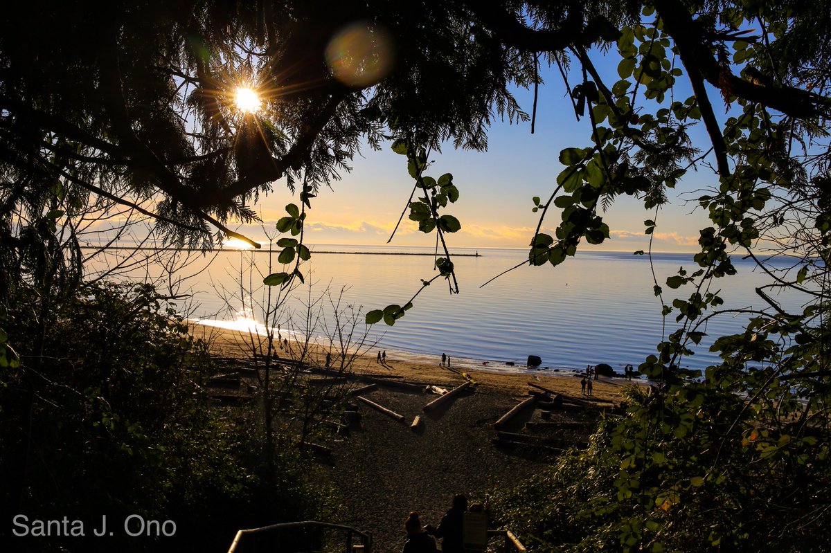 What a stunning day it was today on the UBC Campus.