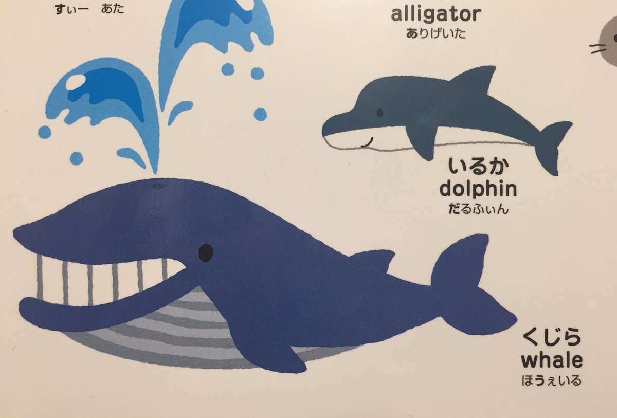 だろめおん 子供向けの図鑑で英語発音もひらがなで載ってるけど Whale が ほうぇいる ほ をつけた理由を英語監修の人に問い詰めたい