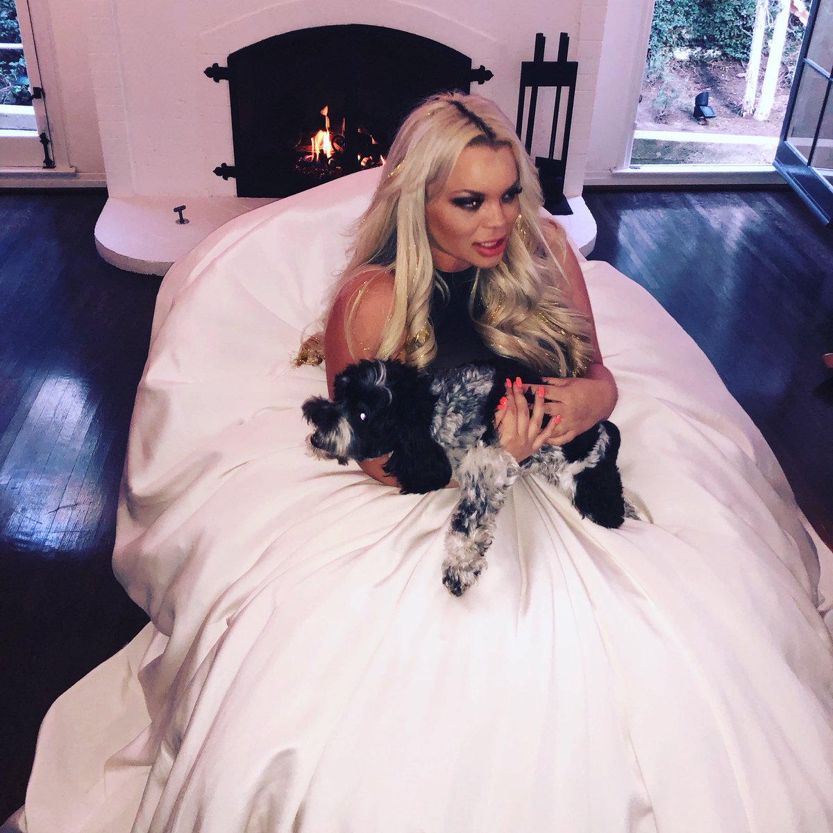 trisha paytas twitter photo trisha paytas twitter photo