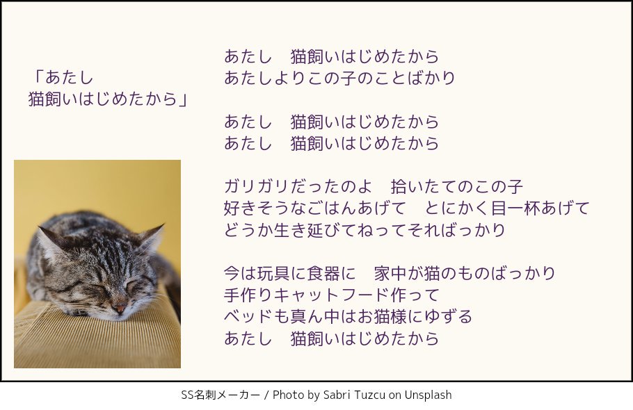 全ての猫好きに捧ぐ替え歌ｗ あたし猫飼いはじめたから が良曲すぎる 話題の画像プラス
