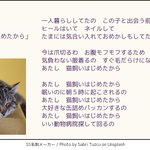 全ての猫好きに捧ぐ替え歌ｗ「あたし猫飼いはじめたから」が良曲すぎる!