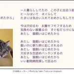 全ての猫好きに捧ぐ替え歌ｗ「あたし猫飼いはじめたから」が良曲すぎる!
