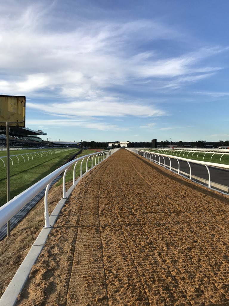 HawkesRacing's tweet photo. This will be a brilliant sight #longstraight for our horses approaching the 400m marker on the new @prorideracing surface @rosehillgardens #can’twait #openingsoon #sameasflemington https://t.co/Z1QDItaq96