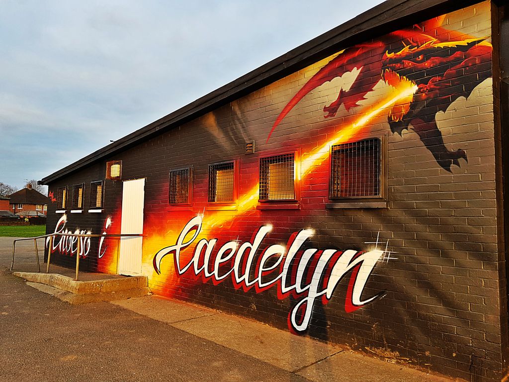 Some nifty artwork down at Caedelyn, #Rhiwbina.