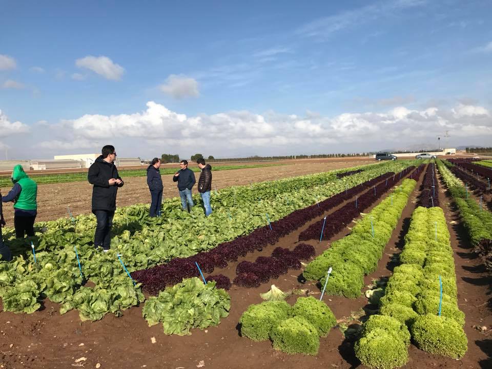 A business trip in Spain last week organized by <a href="/RZHellas/">Rijk Zwaan Hellas</a> on new trends in salads. <a href="/A_Vezyroglou/">Antonis Vezyroglou</a> from <a href="/VezyroglouFarm/">Vezyroglou Farm</a> participated in this well organized &amp; executed event. Special thanks to <a href="/geotitros/">Pavlos Pavlidis</a>