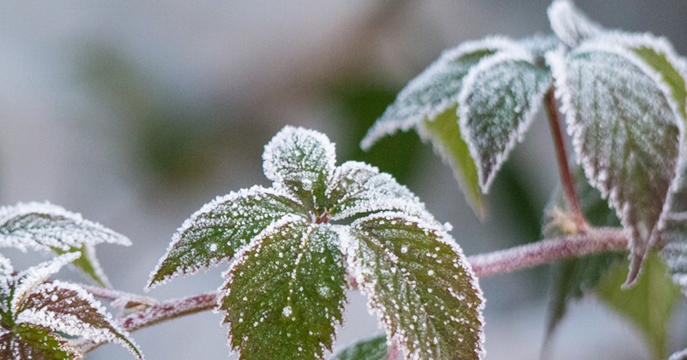 baustoffshop_de's tweet photo. Auch im #Februar gibt es schon die ein oder andere Aufgabe, der Sie sich im #Garten widmen sollten. Hier erfahren Sie, worauf Sie im Frühjahr bei der #Gartenarbeit achten können: https://t.co/VvgxmKBE1k https://t.co/6jr2gbgOqw