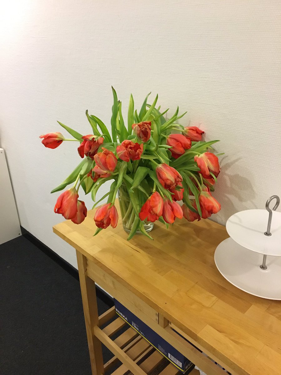 Auch die Blumen im Büro wissen - es ist Montag!!! 😐