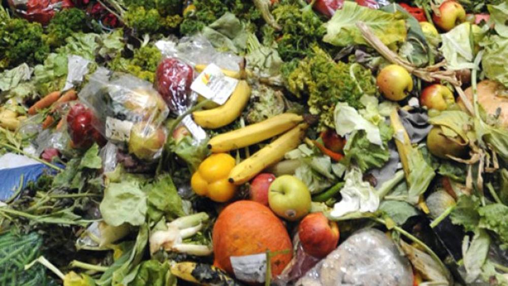 MdR_Torino's tweet image. #5febbraio è la Giornata Nazionale di Prevenzione allo #SprecoAlimentare: in #Italia famiglie più attente, ma resta ancora molto da fare nelle mense scolastiche e nella grande distribuzione. L'articolo su @tuttogreenLST goo.gl/THBH4H