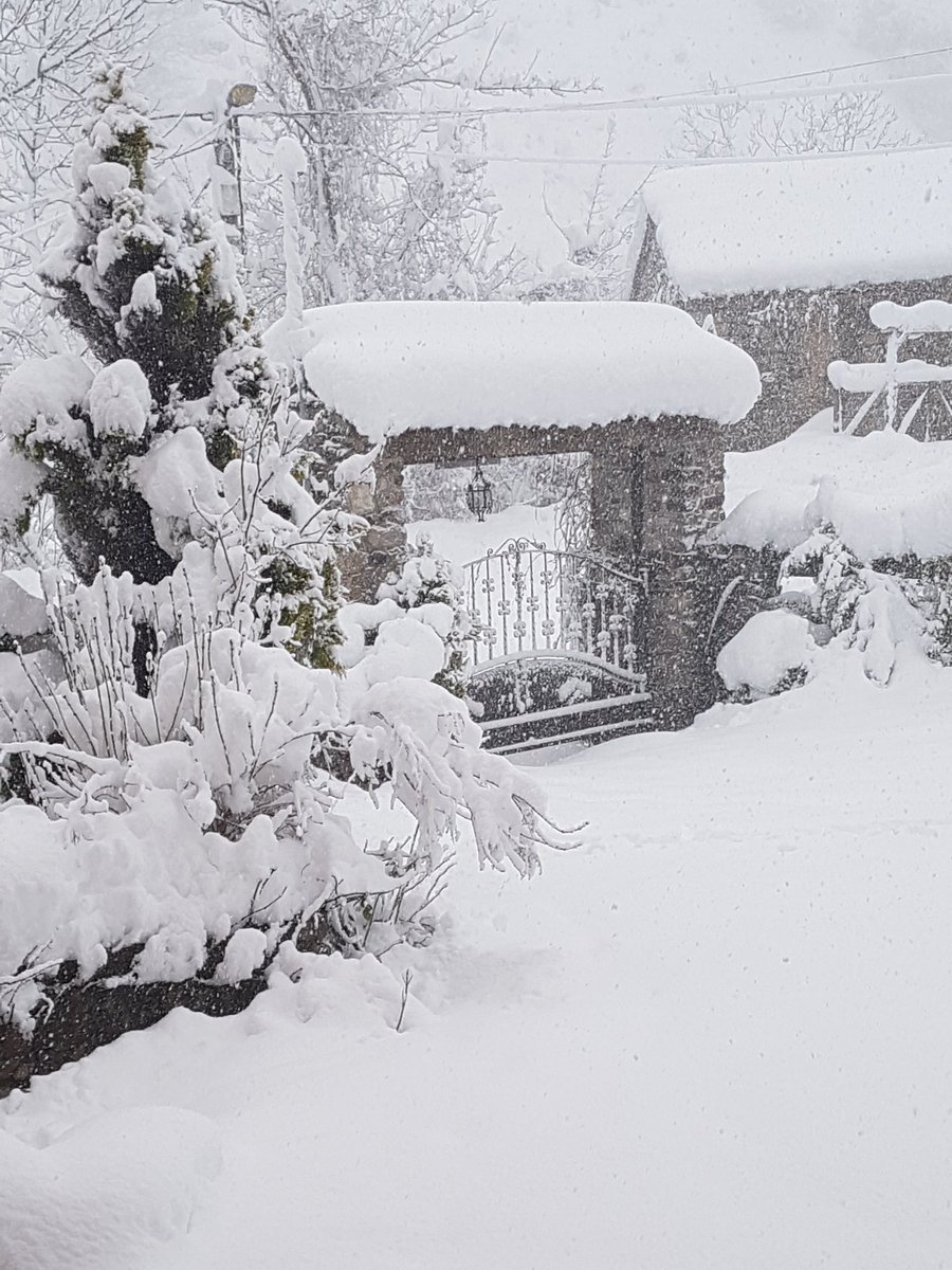 Buenamadre Somiedo tweet media