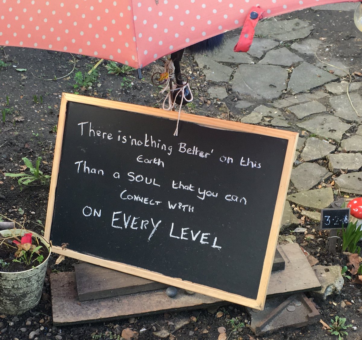 EducatingDivine tweet picture