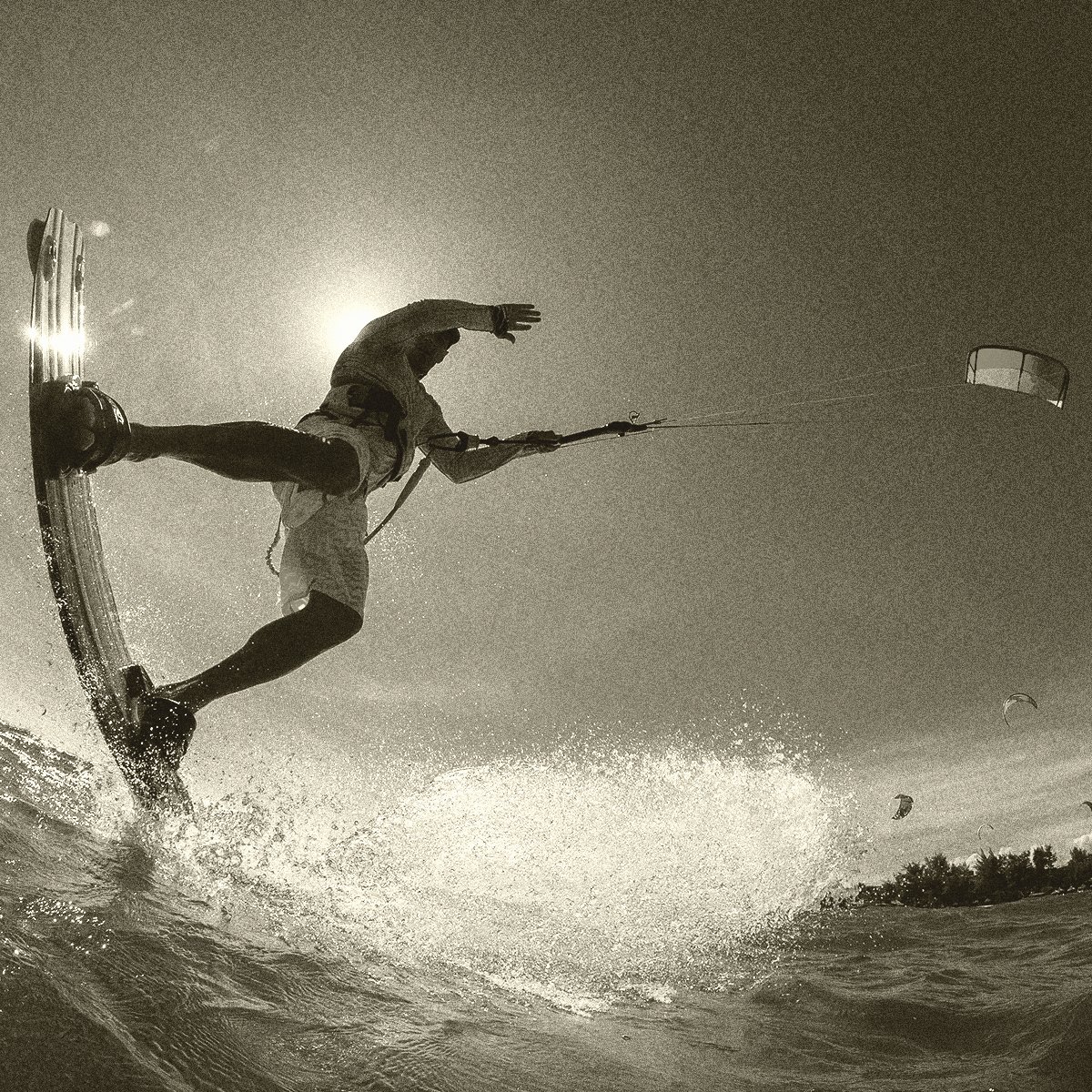 WainwrightGoldenBeer tweet media