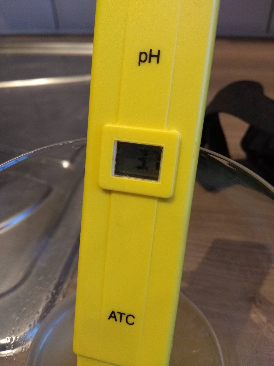 Brewed my first ever sour beer yesterday, wee Berliner Weisse.

Who's got any nice examples available?