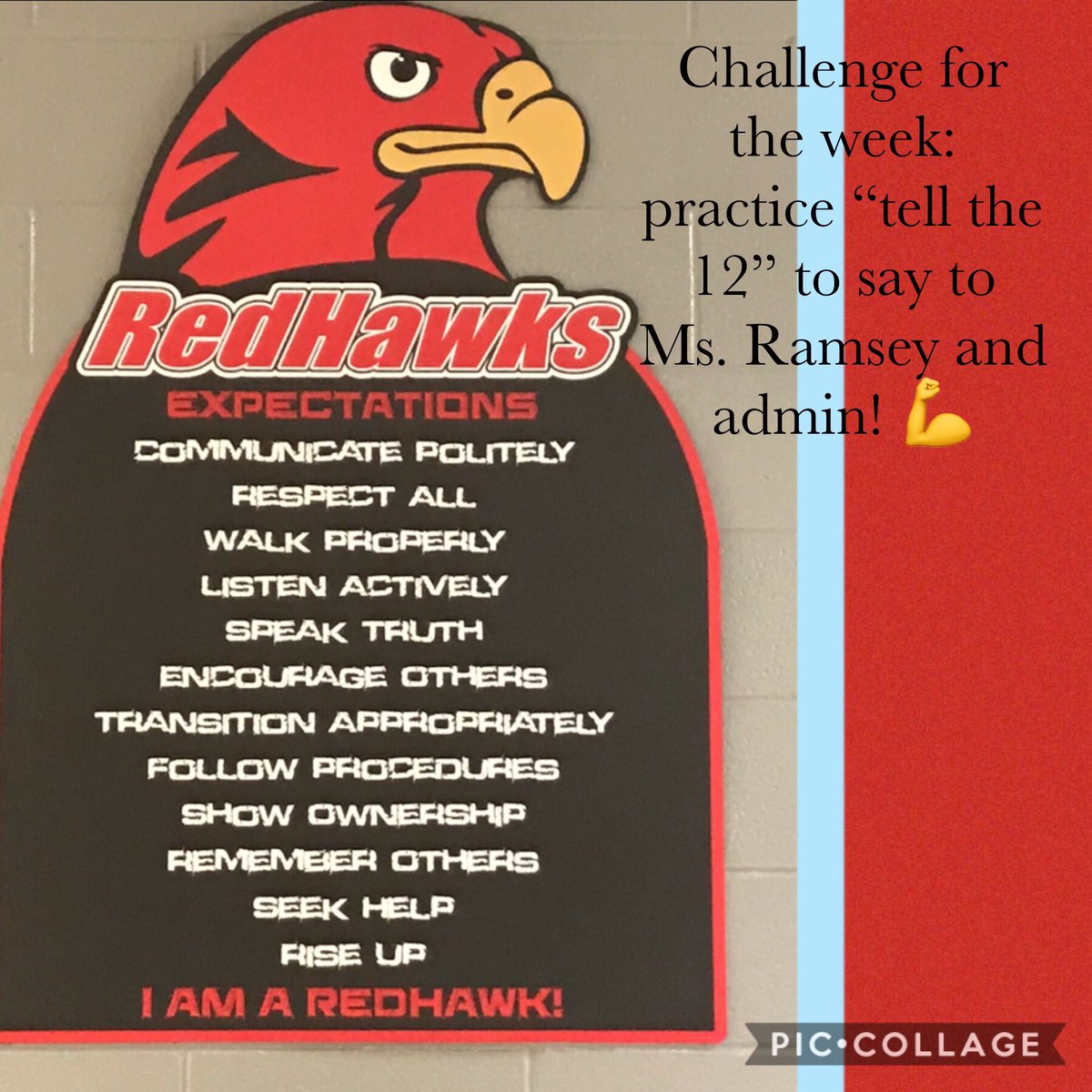 MsJohnsonsStars's tweet photo. Challenge time! Be ready by Thursday! Letβs earn some points for Tadewi! #getconnected #tellthe12 @MsRamseysStars https://t.co/1FZOqxgNEX