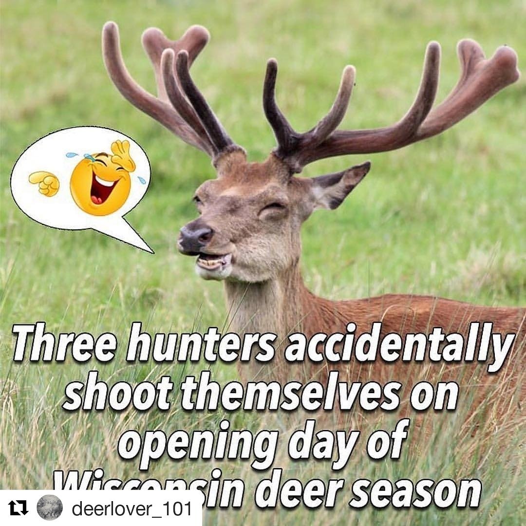 mariejeancote's tweet photo. #JokeOfTheDay Three hunters accidently shoot themselves on opening Day of Wisconsin Deer season. Well karma had its Reason. Why shoot a dear for no Reason? #Monday #Moonday #getbuckedup with @buckupapparel #antlerswithattitude #buybuckedup #savagestyles #wildclothes https://t.co/2MM7WiOfa7