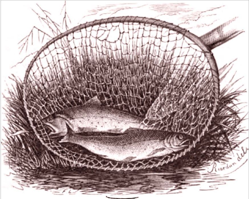 oldfishinglure's tweet photo. The Frostfish and the Dry Fly - #Anglingechoes #Bamboorod #Finandflame #Fishing #FishingforHistory #Flyfishing #TheFrostfishAndTheDryFly - https://t.co/7gfpZqBoTh https://t.co/idSKv8CLlF