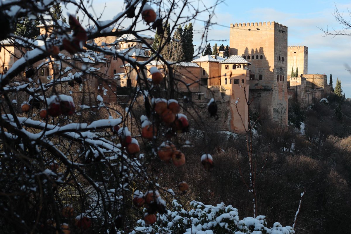alhambracultura's tweet photo. Seguimos descubriendo nuevos paisajes de la Alhambra nevada 📷 @pepemarinfoto. Nuevas miradas de un paisaje cultural patrimonio mundial https://t.co/77whaMcbrO https://t.co/LrVTTGxt8v