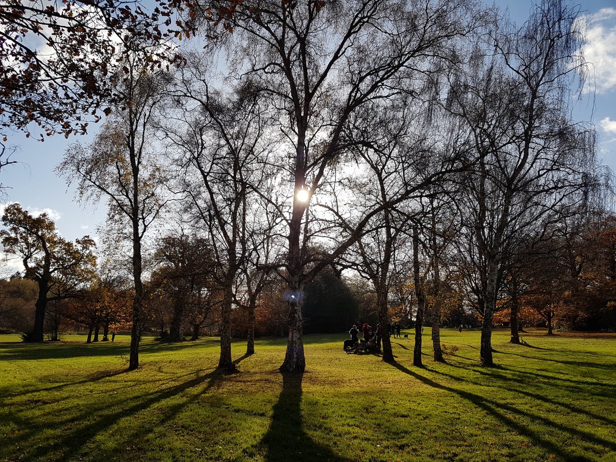 supersophski's tweet photo. Here's some before (Nov 2017) and after (today Feb 2018) photos of #beckenhamplacepark - improvement? What do you think? #Beckenham #Bromley @heritagelottery @WoodlandTrust @RachelOnikosi @heidi_mp #SaveBPP #BPP https://t.co/RngNJ7ttIV