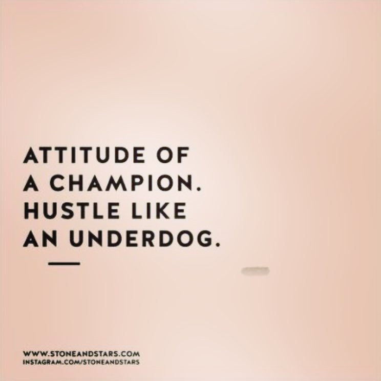 design_monday's tweet photo. Work your week like you’re the #underdog 🐾 #mondaymotivation #superbowlmonday #flyhigh #designyourmonday #headdownchinup https://t.co/sZAD6BVnnr