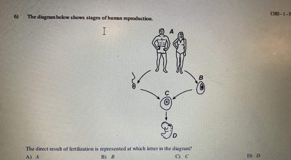 FLMS_AlexR's tweet photo. #reproanatomy https://t.co/WzsoqdX4oq