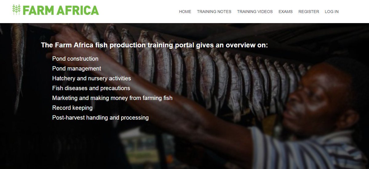 FarmAfrica's tweet photo. Demand for fish is rising in Kenya: #aquaculture can be a profitable career if managed well. Learn about how to make a success out of fish farming in ponds on the new @FarmAfrica @NLinKenya @PUM_nl fish production training portal. https://t.co/lr6EsluJi1 https://t.co/7KDTxK2586