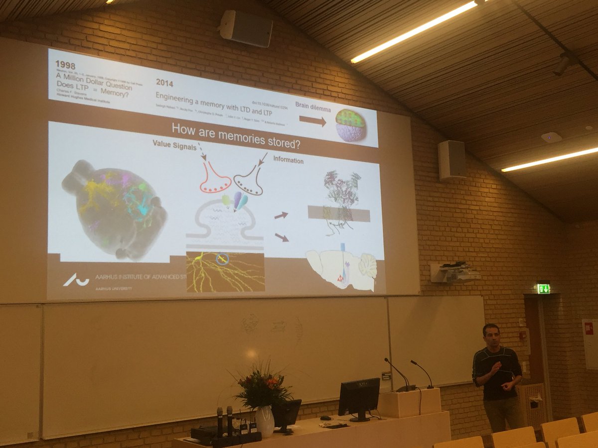 AIAS_dk's tweet photo. Last presentation @AIAS_dk at the #Extended #FellowsSeminar today by #AIASAssociate Sadegh Nabavi: how are #memories stored? #brain #dandrite https://t.co/ZASEAWV5A6