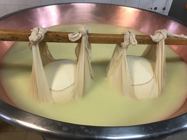 ParmaLook1's tweet photo. We are waiting for you #Parmesan cheese #Food #Tour everyday https://t.co/DCiyK4dfS2