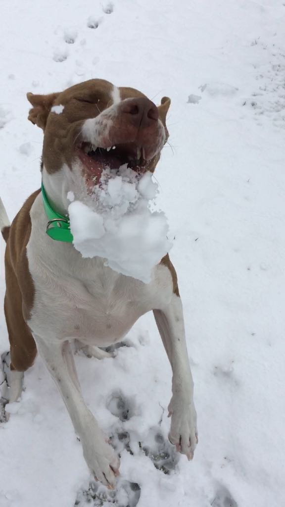 marinarcabeza's tweet photo. Lunes de nieve Top!! ⛄️ ❄️ #zapeando1047 https://t.co/dgJjaiVW8T
