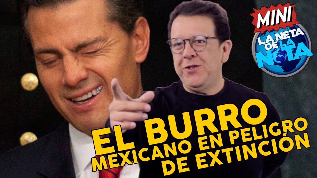LaNetaComedy's tweet photo. ¡ATENCIÓN! 
Ya está #LaMiniNeta de los lunes https://t.co/v2H0b8dR2y

Hagan patria y suscríbanse al canal, denle like y compartan https://t.co/owPtksunqI