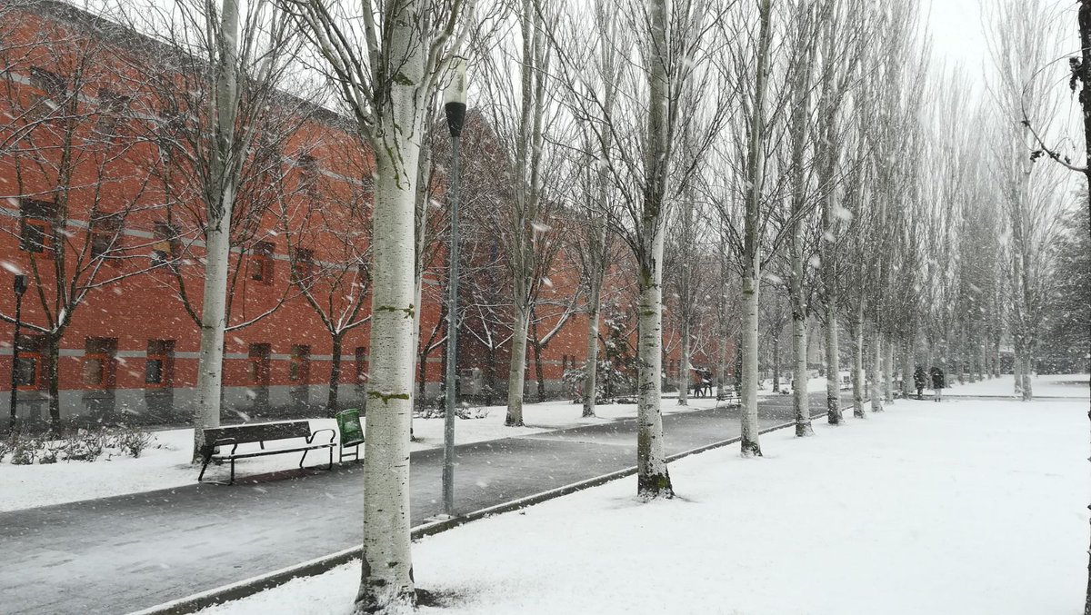 Juangabrielmn's tweet photo. #DirectivosURJC2018 disfrutad de la nieve, las clases se han suspendido esta tarde en toda la universidad @URJC . https://t.co/a1NExjeP2L