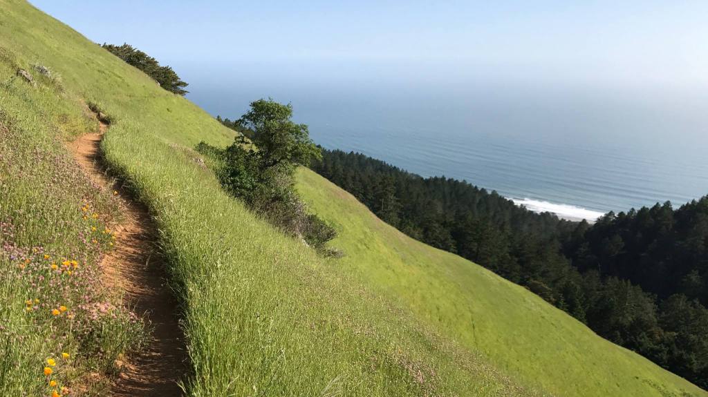 TheUltraWire's tweet photo. Miwok 100k 
P:David Lee
#Miwok100k https://t.co/OxGbfp2wH6 https://t.co/3U1ndg9HGL